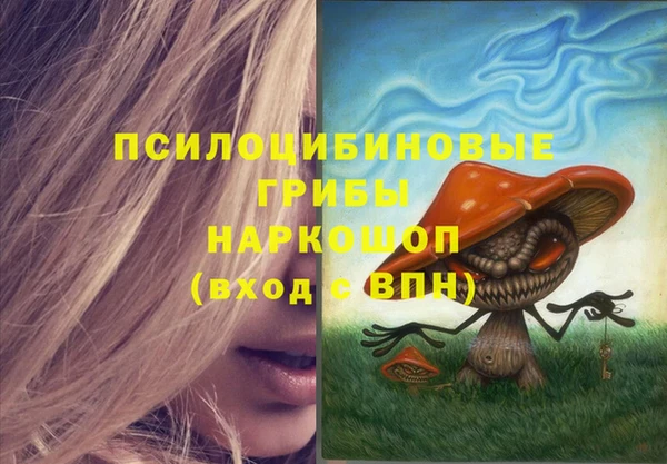spice Алексеевка