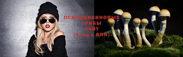 spice Алексеевка