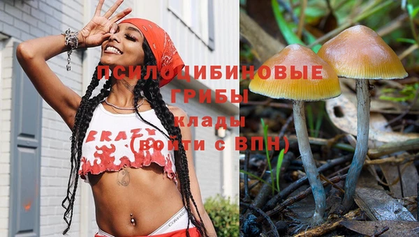 сатива Саяногорск