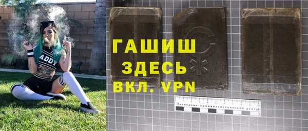 индика Алексин
