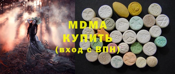 индика Алексин